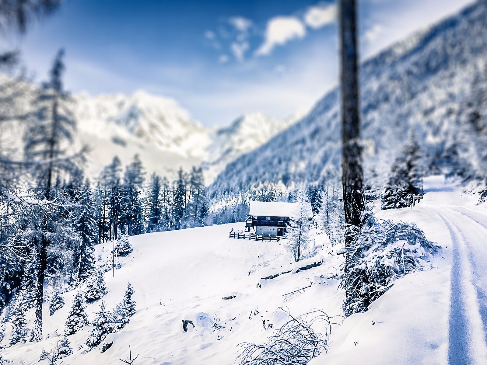 Wintertraum
